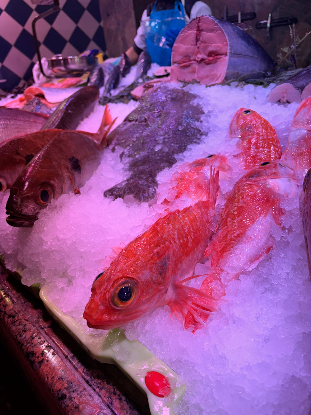 pescaderiatoro-galeria-4