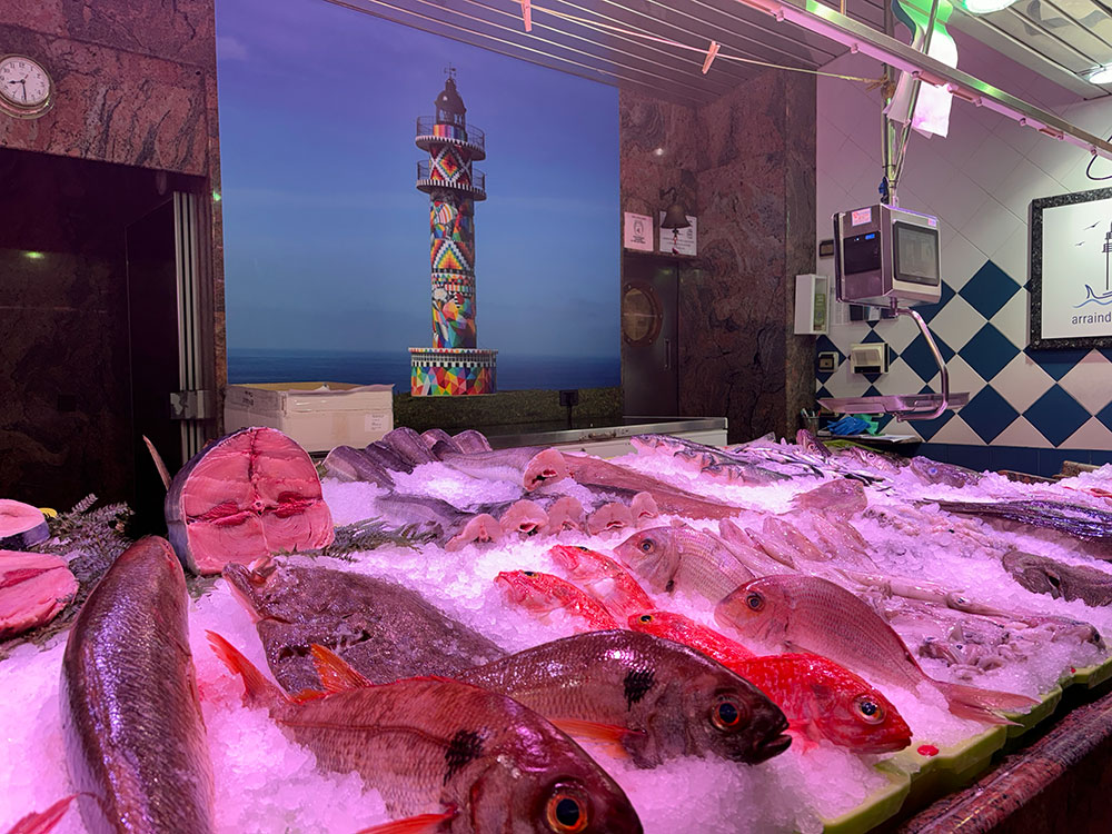 pescaderiatoro-portada-peces